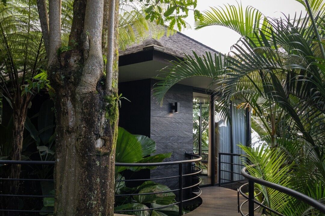 Photo of Outdoor in Munduk