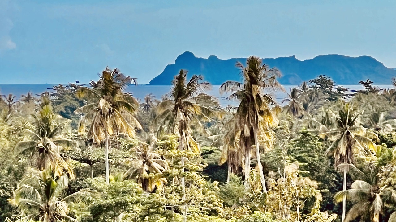 Photo of Outdoor in Selong Belanak