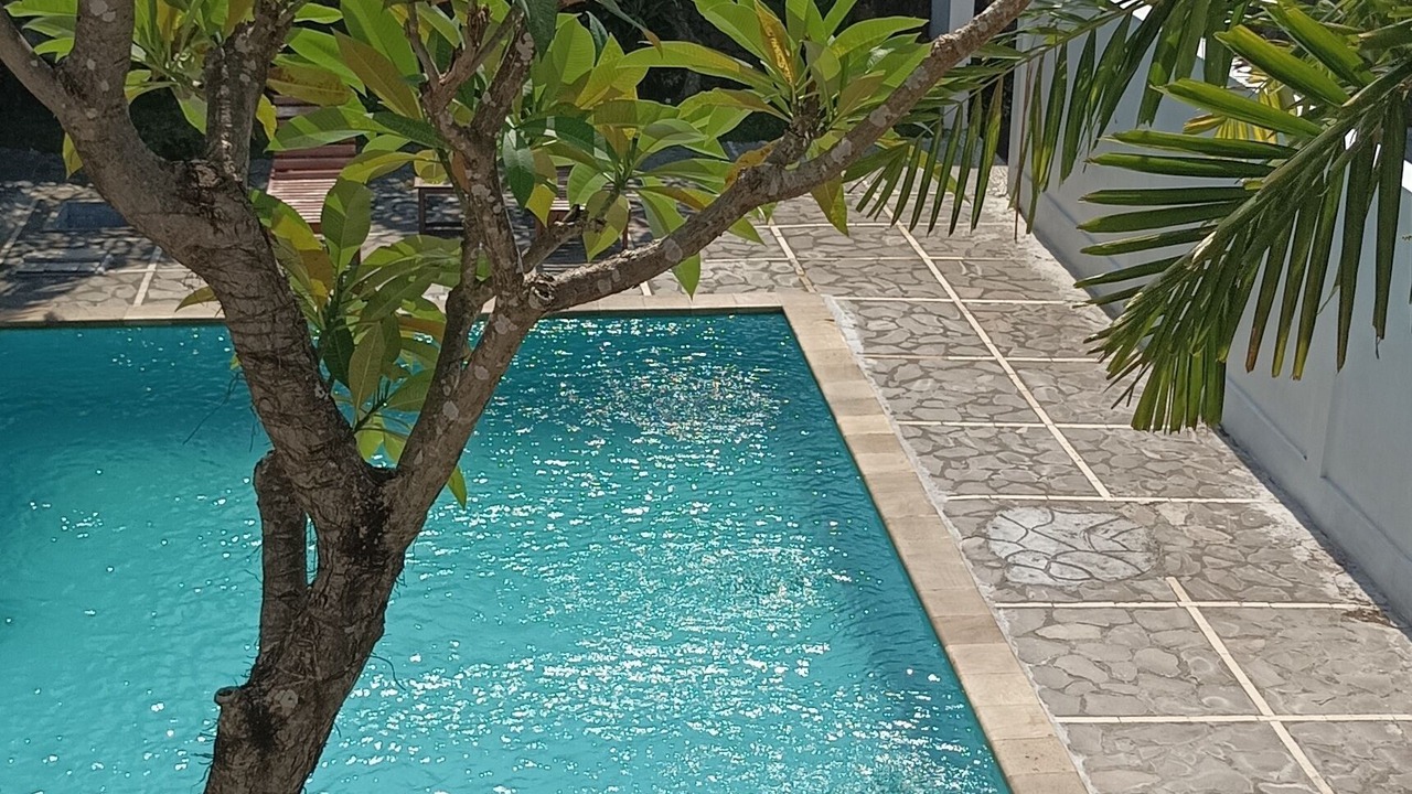 Photo of Outdoor in Lovina