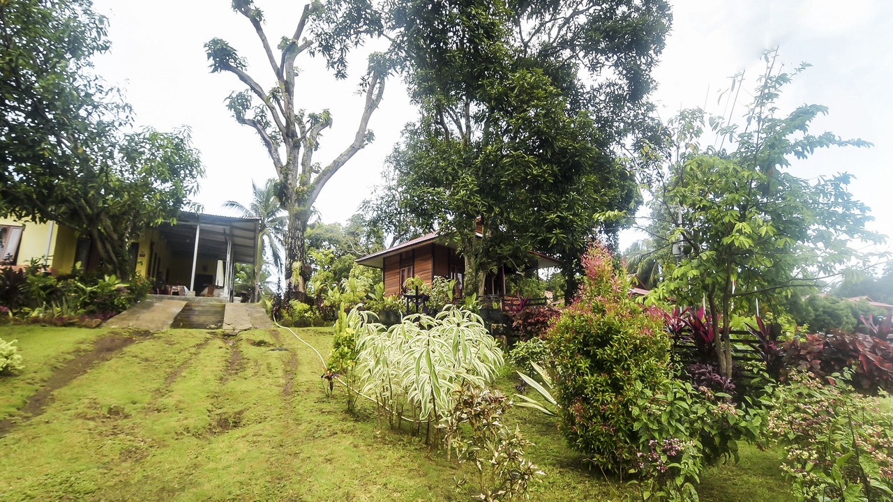 Photo of Outdoor in Manado City Centre