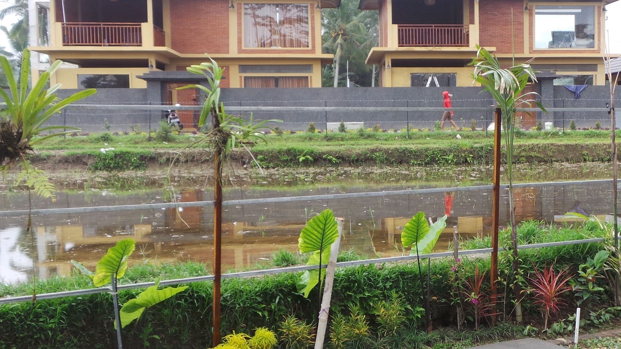 Photo of Outdoor in Tegallalang