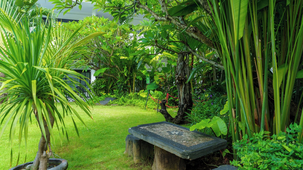 Photo of Outdoor in Downtown Kuta