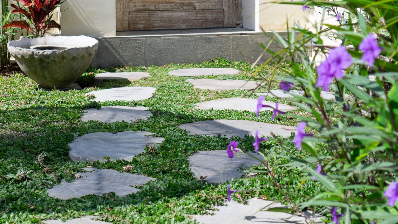 Photo of Outdoor in Drupadi