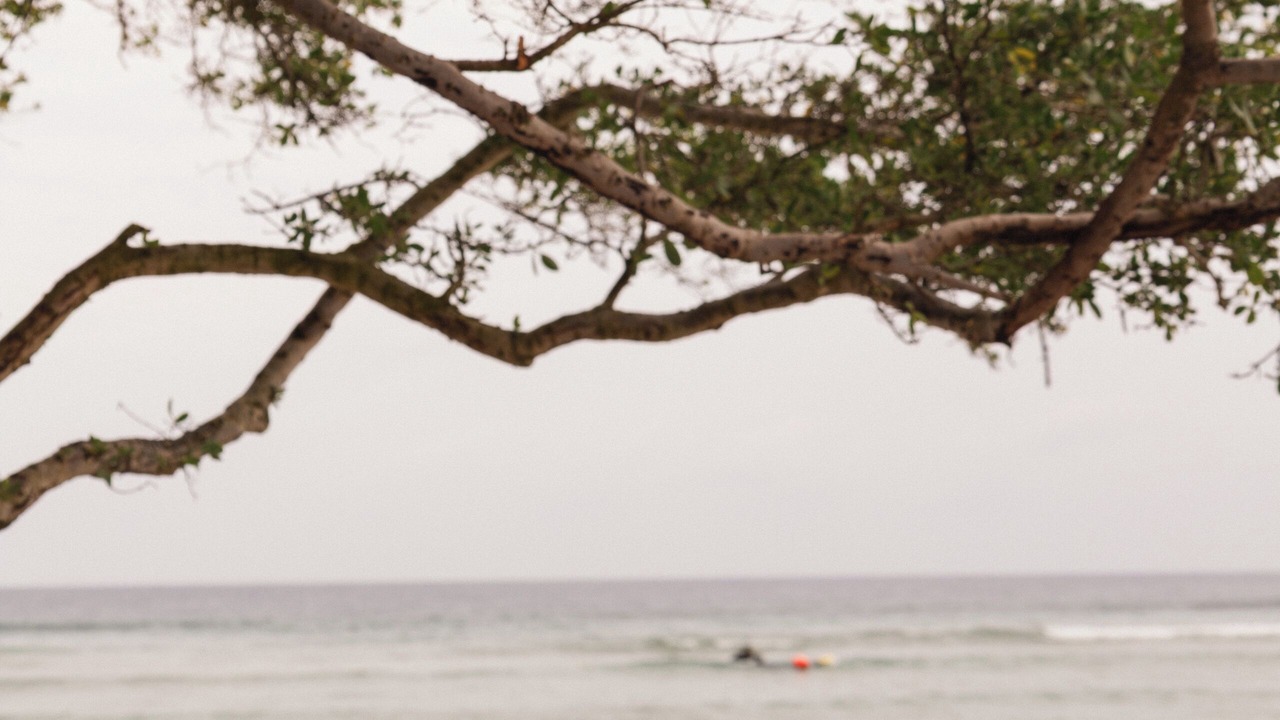 Photo of Others in Gili Trawangan