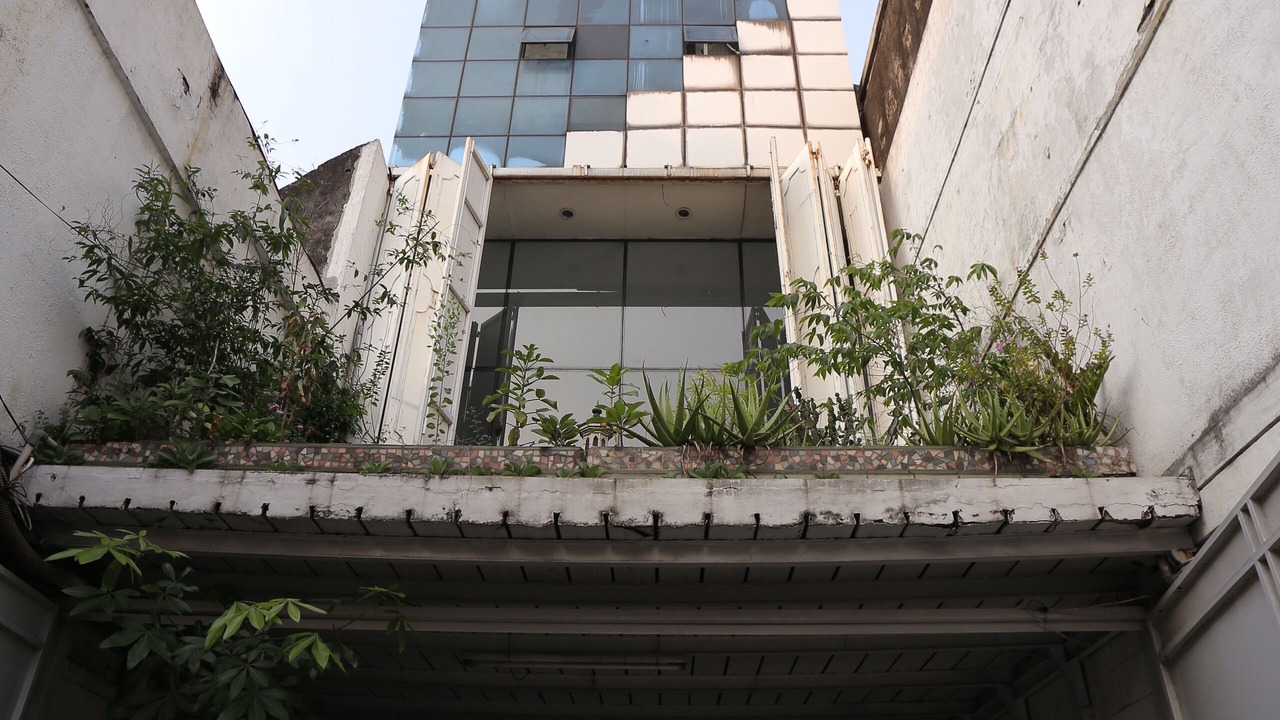Photo of Outdoor in Chinatown