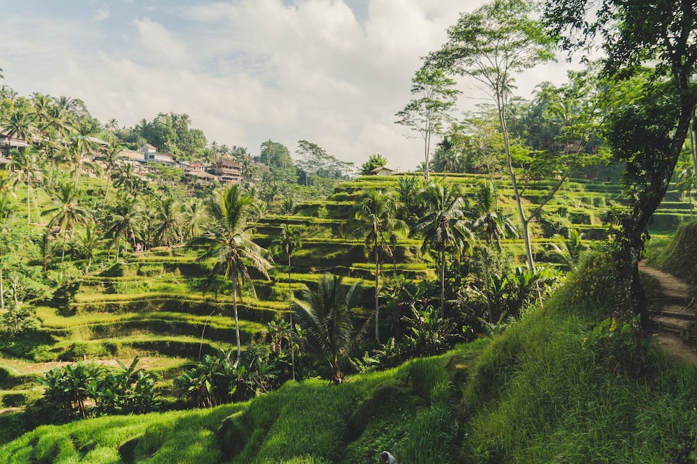 Photo of Outdoor in Pererenan