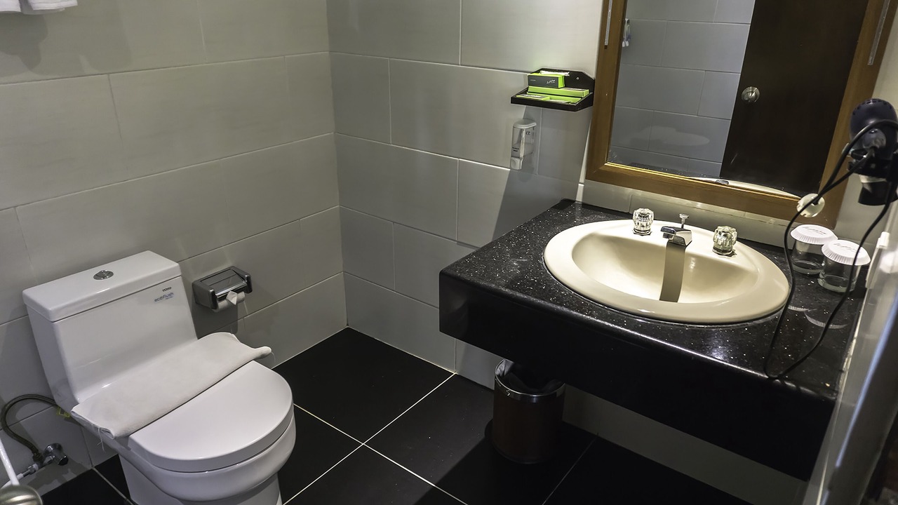 Photo of Bathroom in BTDC