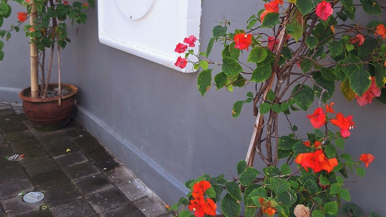 Photo of Outdoor in Kerobokan