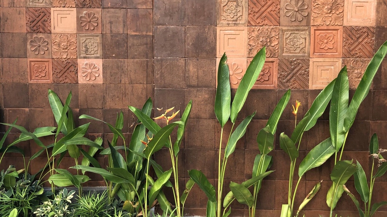 Photo of Outdoor in Padonan