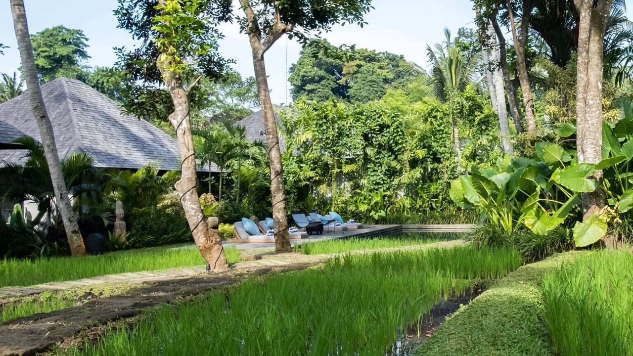 Photo of Outdoor in Kemenuh