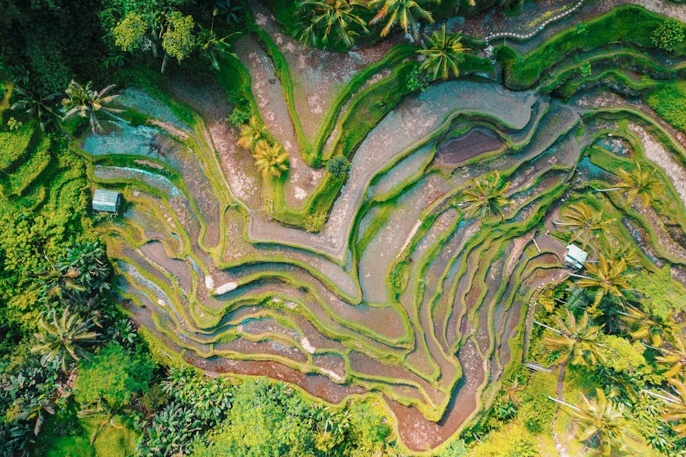 Photo of Outdoor in Umalas