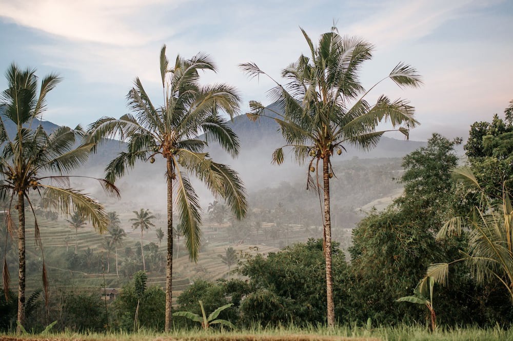 Photo of Outdoor in Umalas