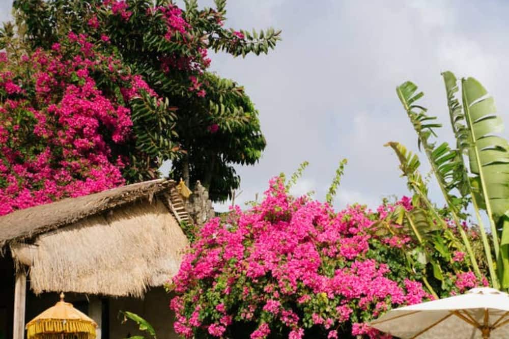 Photo of Outdoor in Pecatu