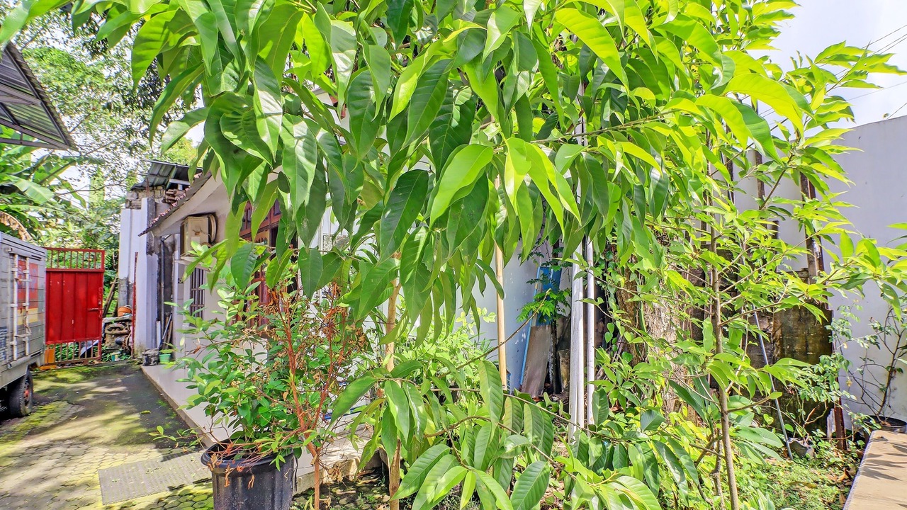 Photo of Outdoor in Buduk