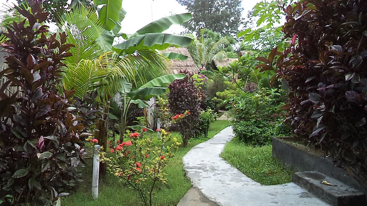 Photo of Outdoor in Gili Air