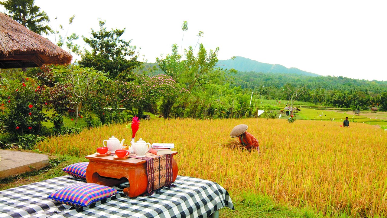 Photo of Others in Manggis