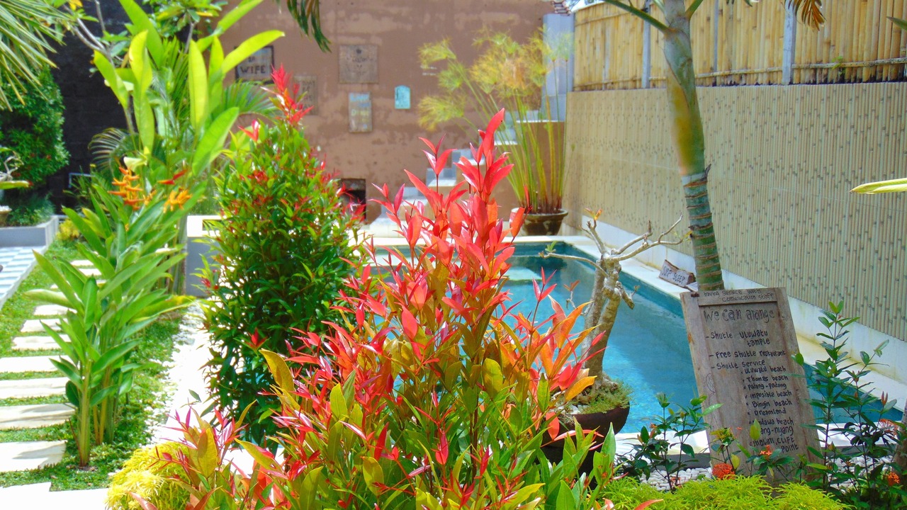 Photo of Outdoor in Uluwatu