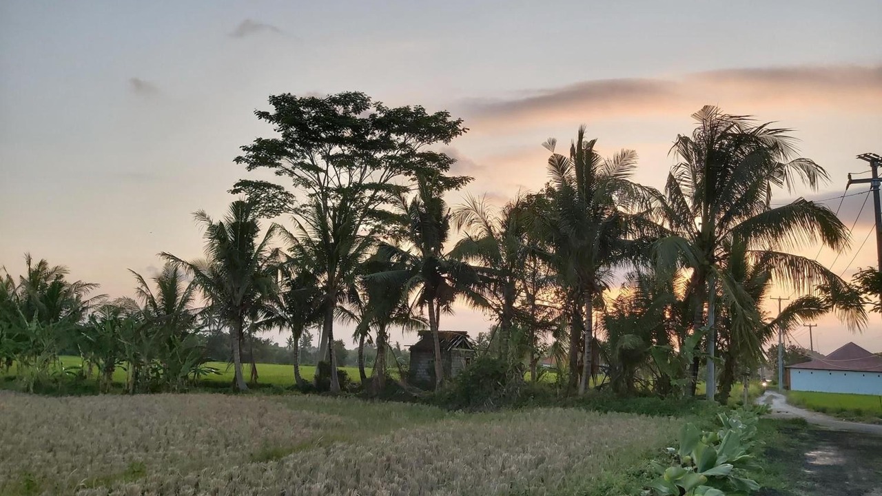 Photo of Others in Lodtunduh