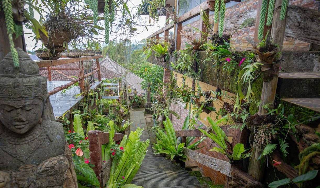 Photo of Outdoor in Baturiti