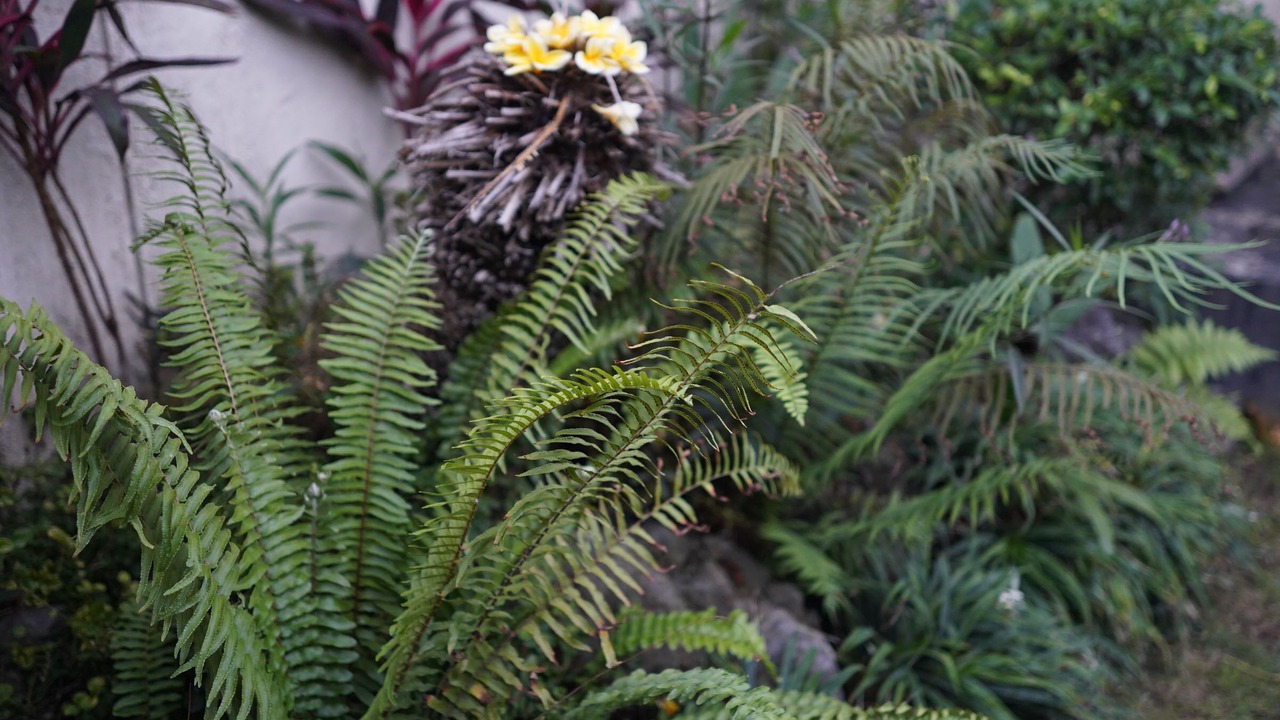 Photo of Outdoor in Nakula