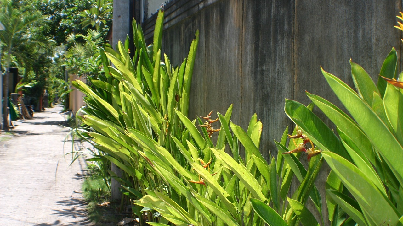 Photo of Outdoor in Nakula