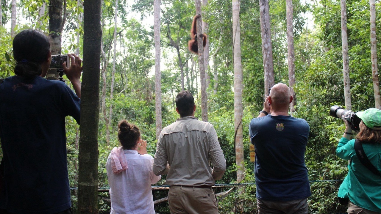 Photo of Outdoor in Kumai