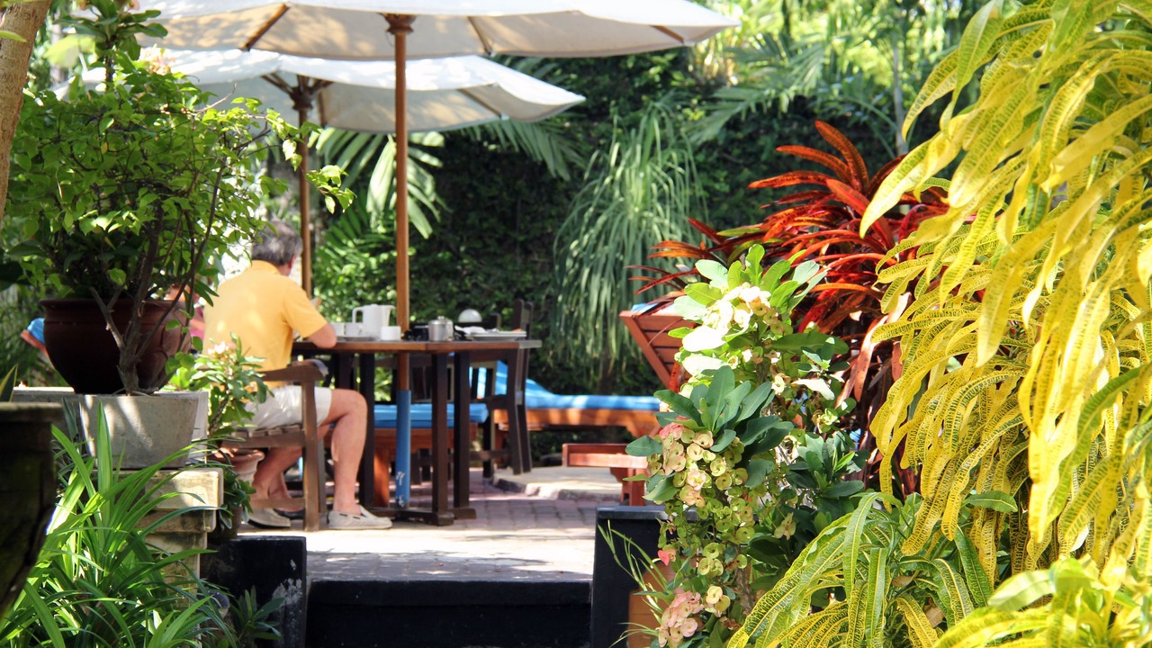 Photo of Outdoor in Dyanapura
