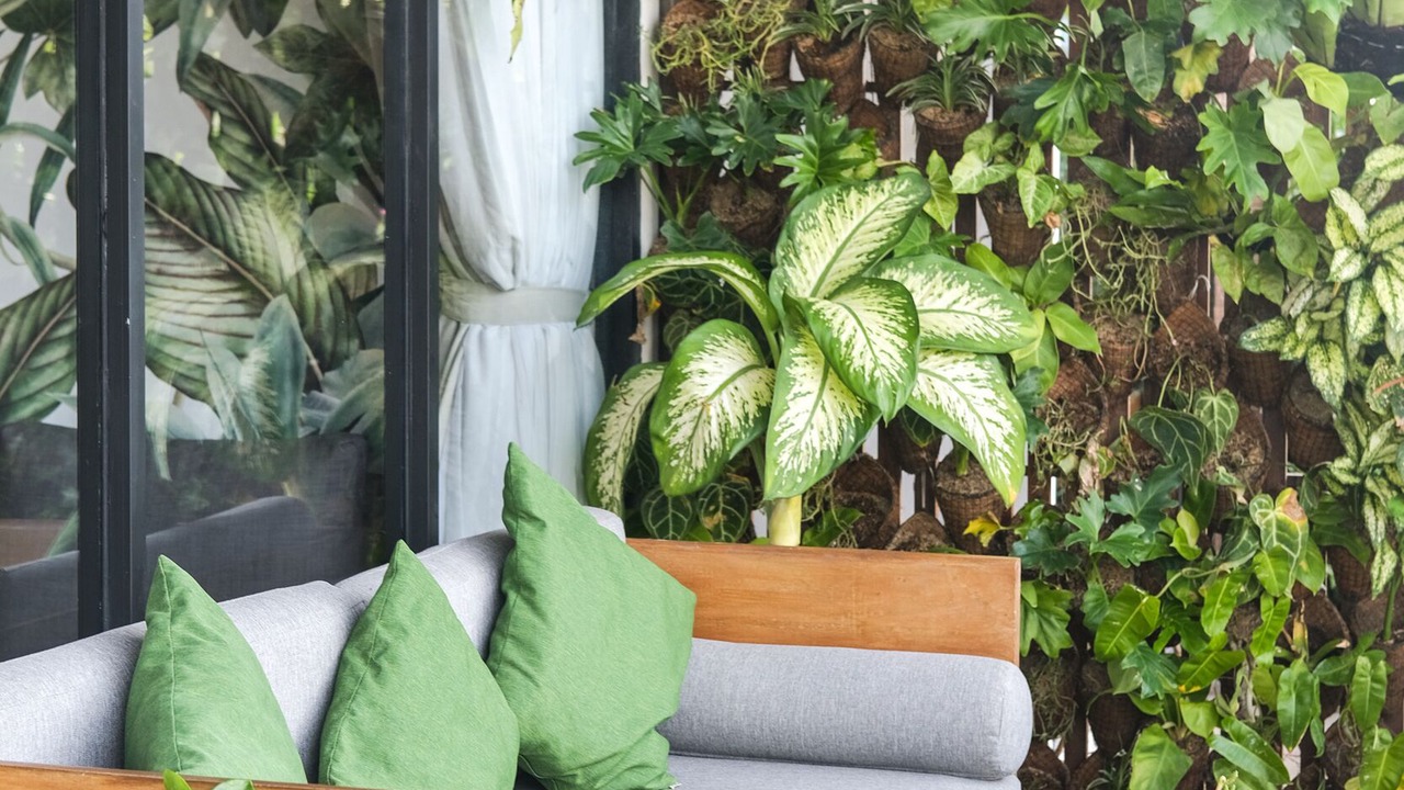 Photo of Bedroom in Pecatu