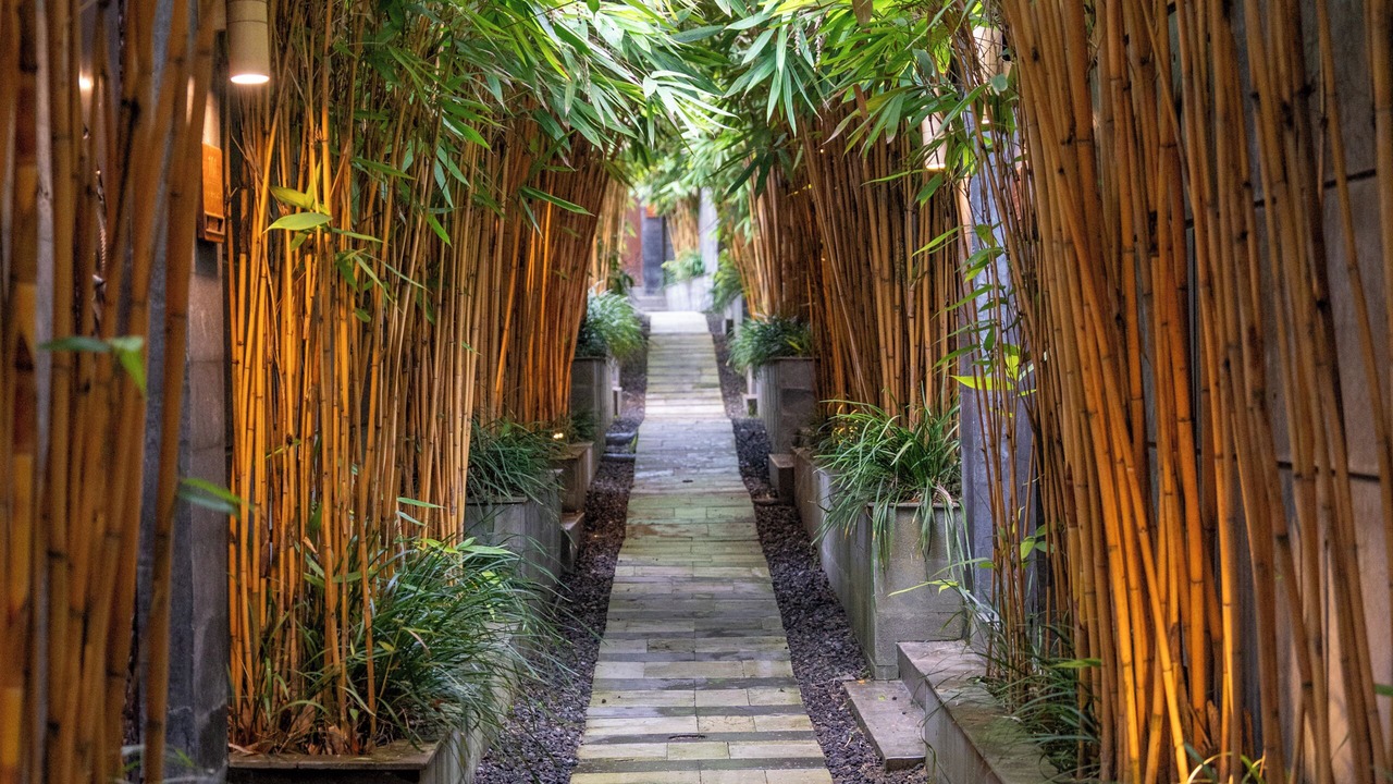 Photo of Outdoor in Pererenan