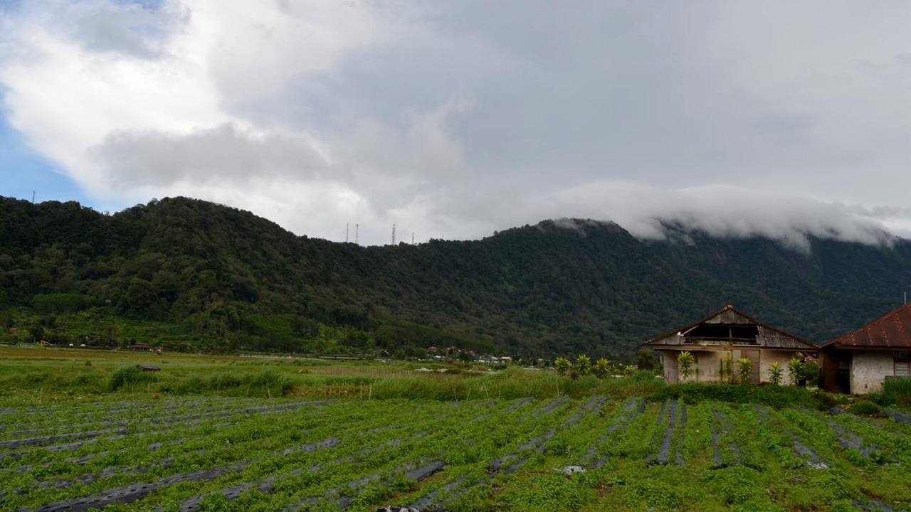 Photo of Others in Bedugul