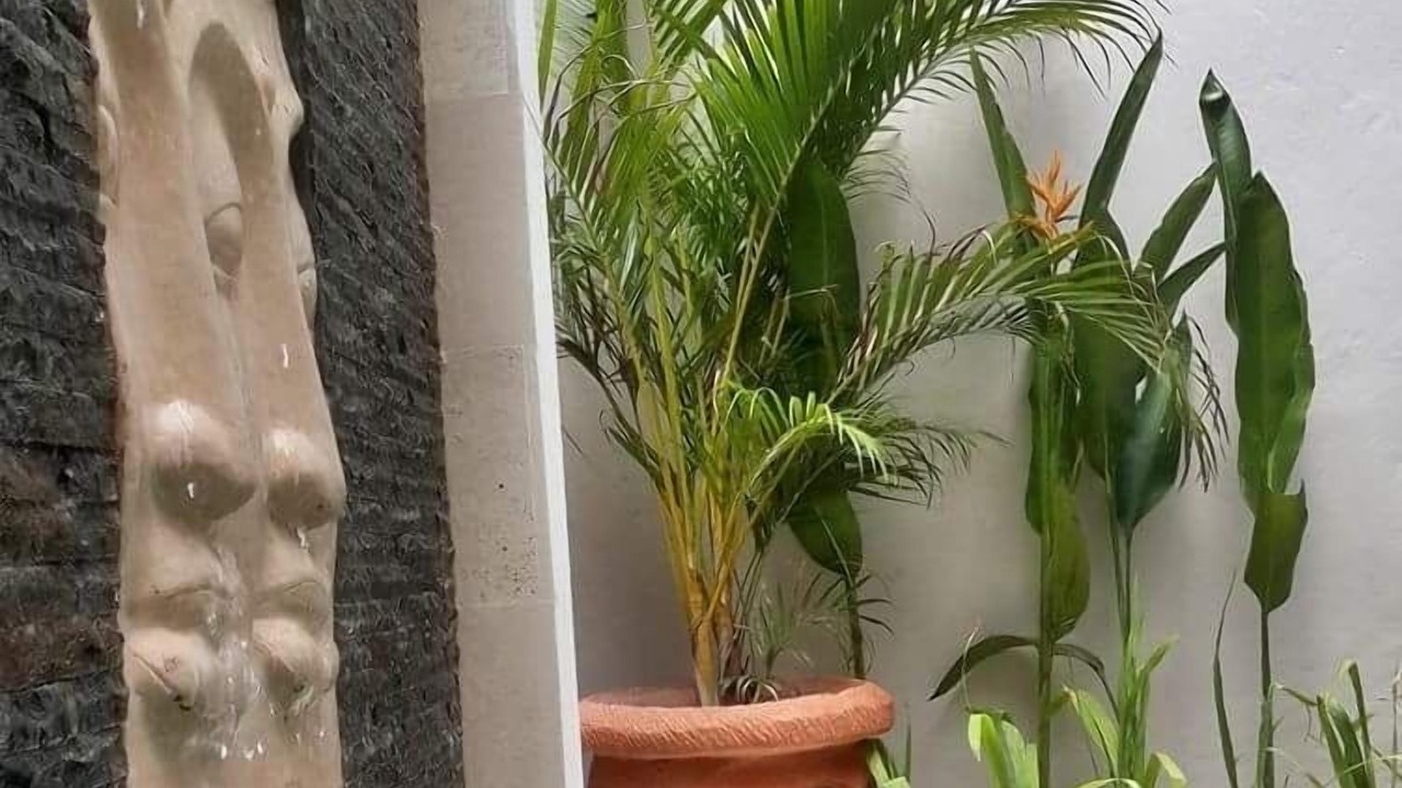 Photo of Outdoor in Kartika Plaza
