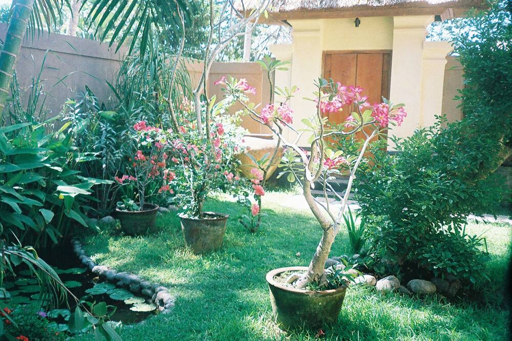 Photo of Outdoor in Dyanapura