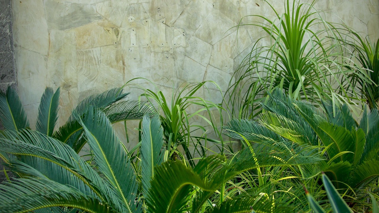 Photo of Outdoor in Padonan