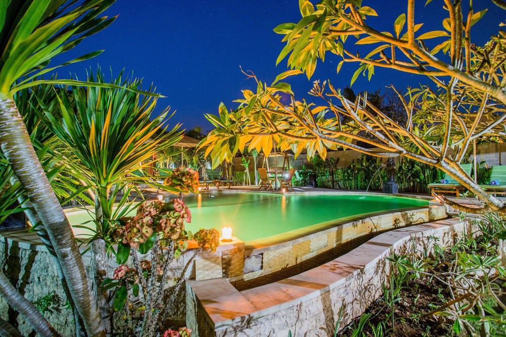 Photo of Outdoor in Mushroom Bay