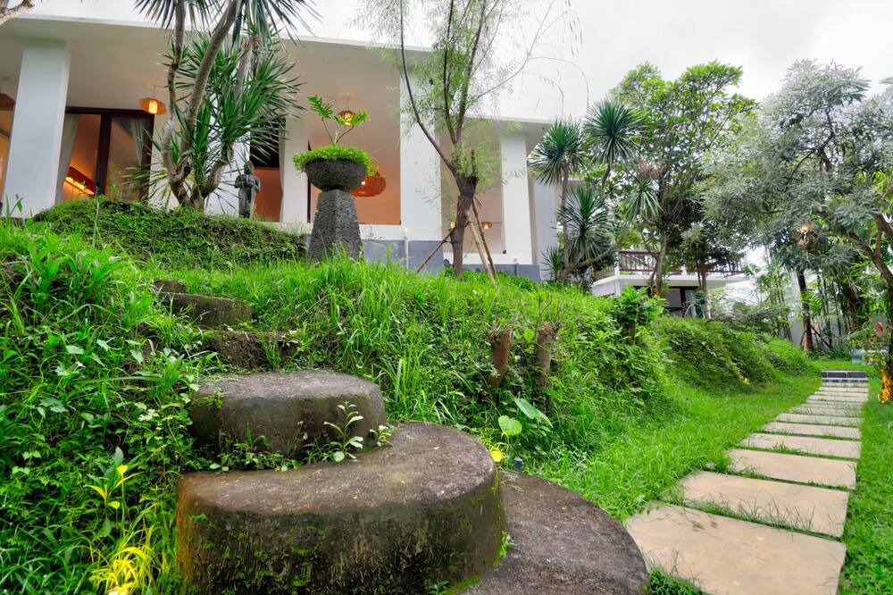 Photo of Outdoor in Tegallalang
