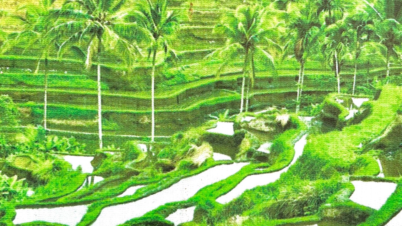 Photo of Others in Mas