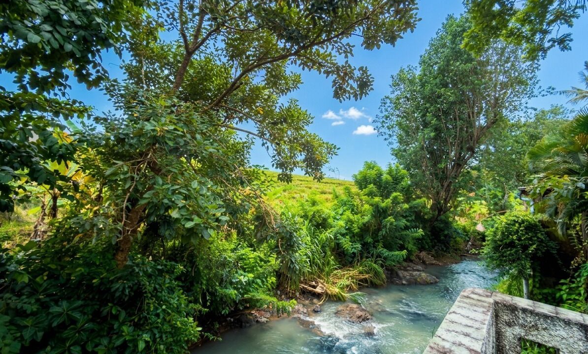 Photo of Outdoor in Pererenan
