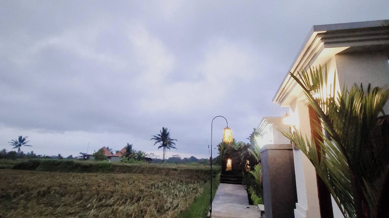 Photo of Outdoor in Tegallalang