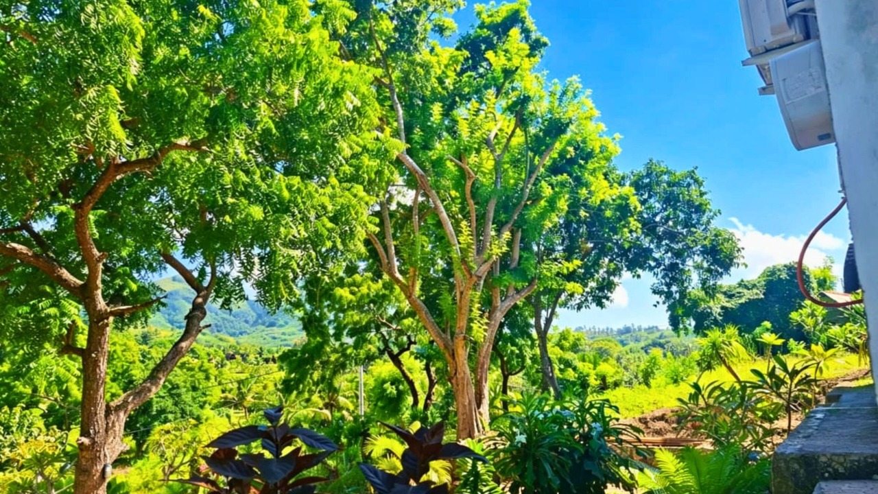Photo of Outdoor in Penida Island