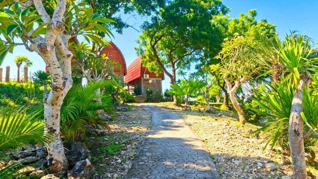 Photo of Outdoor in Penida Island