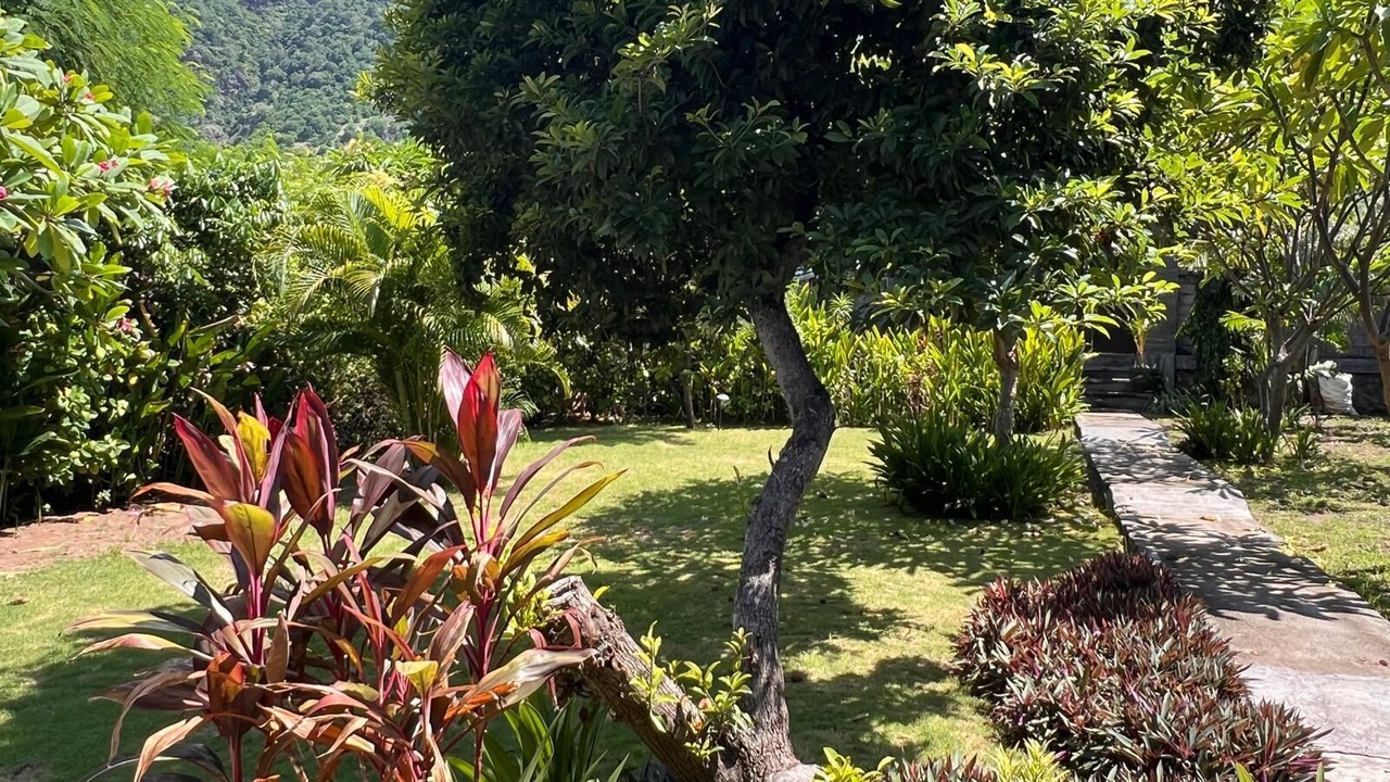 Photo of Outdoor in Pemuteran
