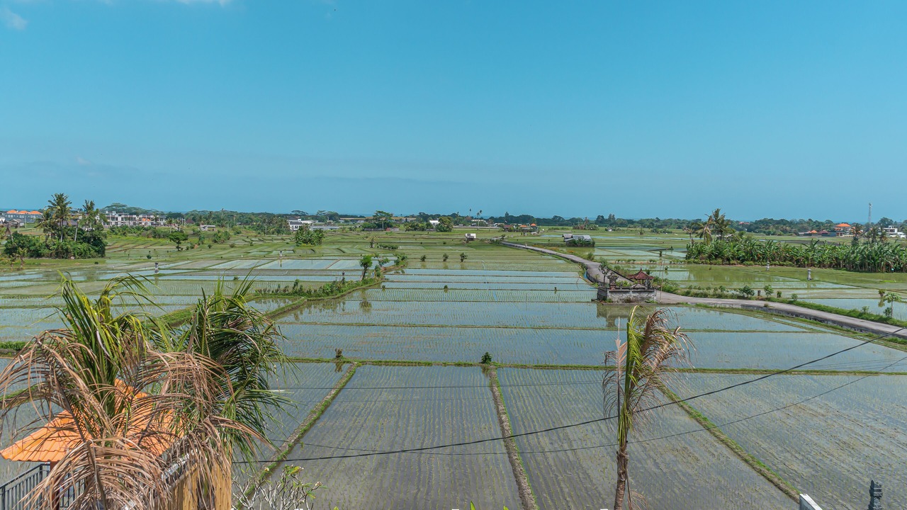 Photo of Others in Beraban