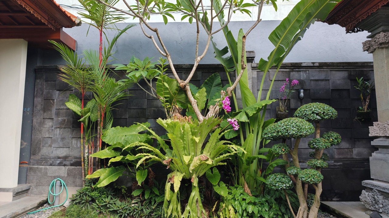 Photo of Outdoor in Celuk