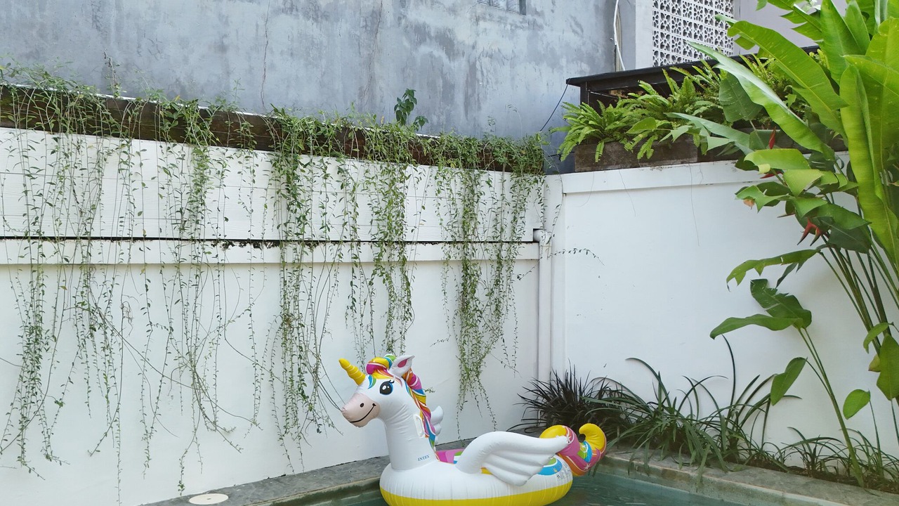 Photo of Outdoor in Legian