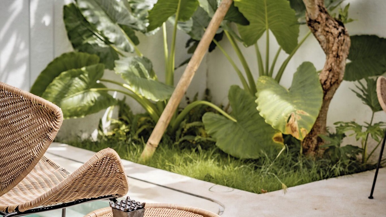 Photo of Outdoor in Uluwatu