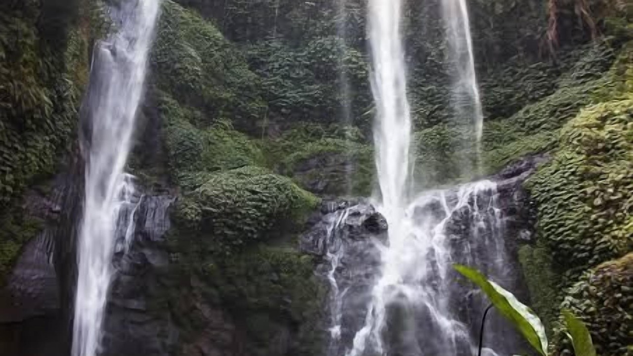 Photo of Outdoor in Lovina