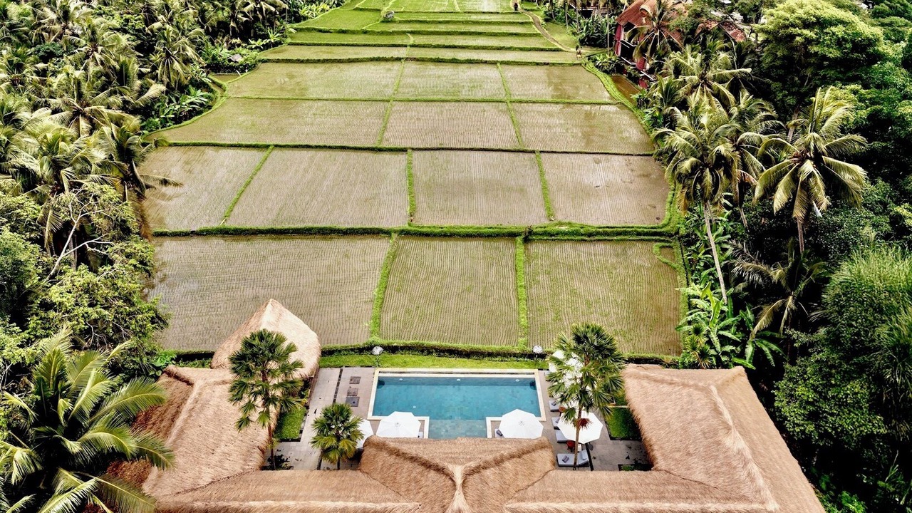 Photo of Outdoor in Petulu