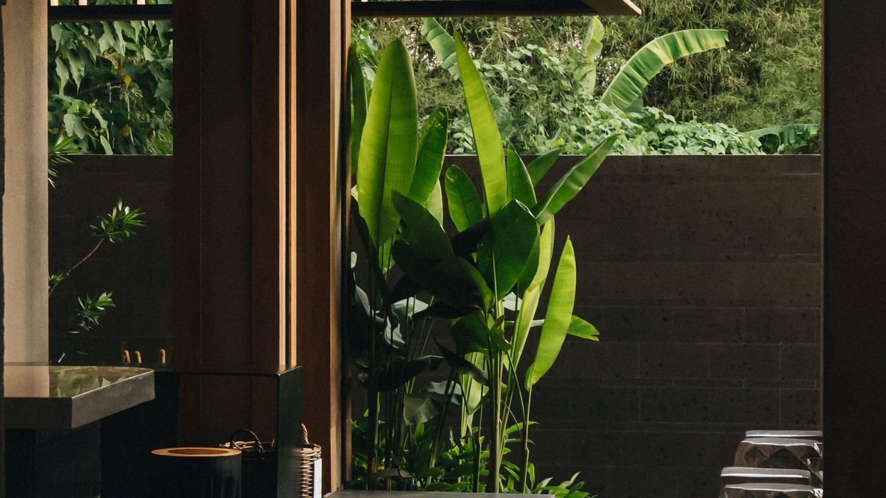 Photo of Outdoor in Pererenan