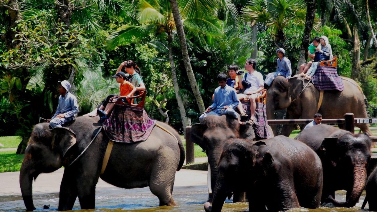 Photo of Others in Dyanapura