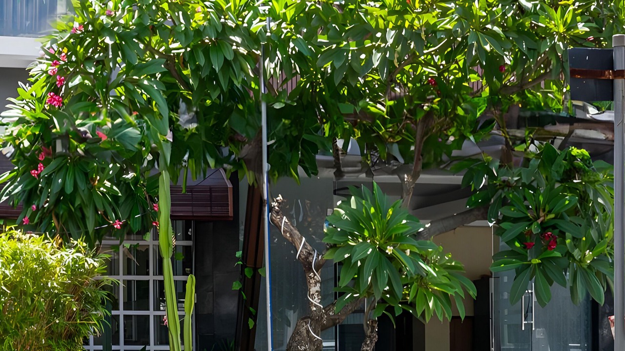 Photo of Outdoor in Tuban